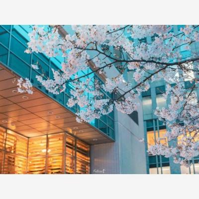 彩神app下载-登录入口