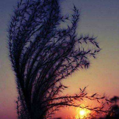 香港资料大全下载手机版